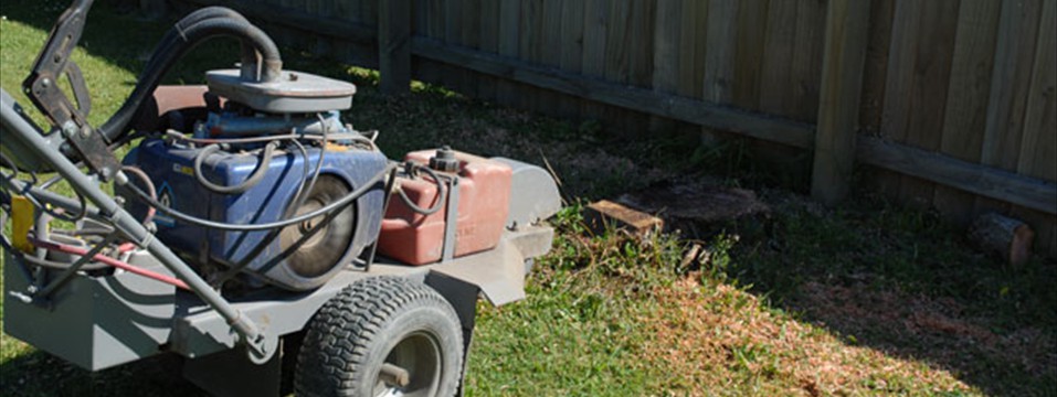 tree stump grinding