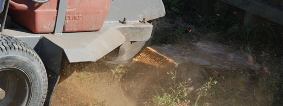 hedge row cutting