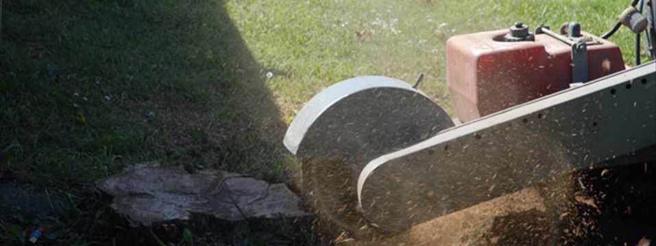 stump chipping