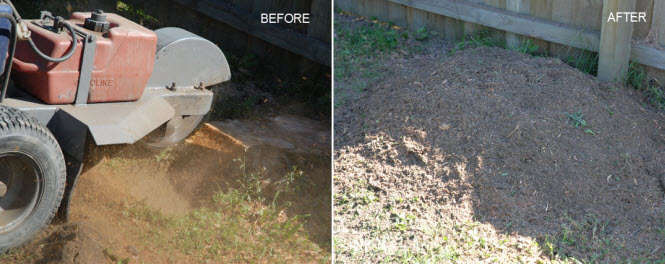 Tree Stump Removal